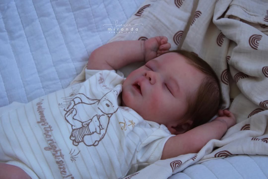Ravi Boy